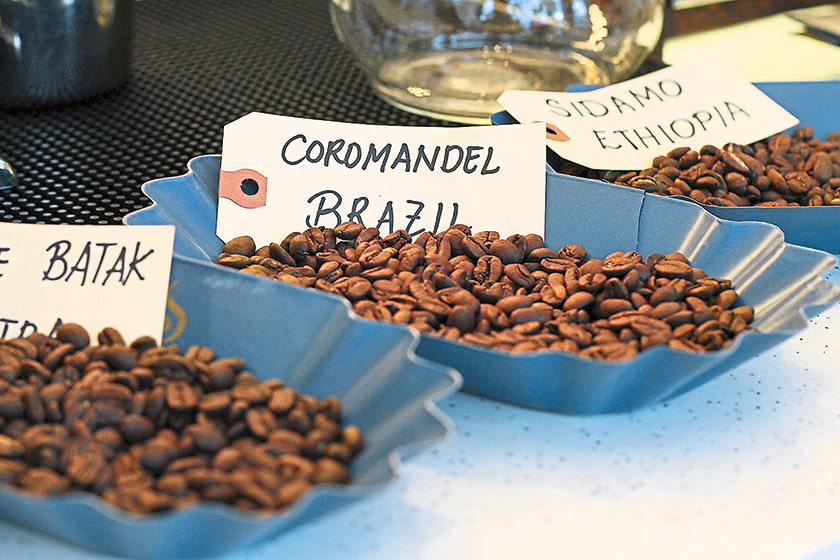 Different single origin coffee beans from around the world