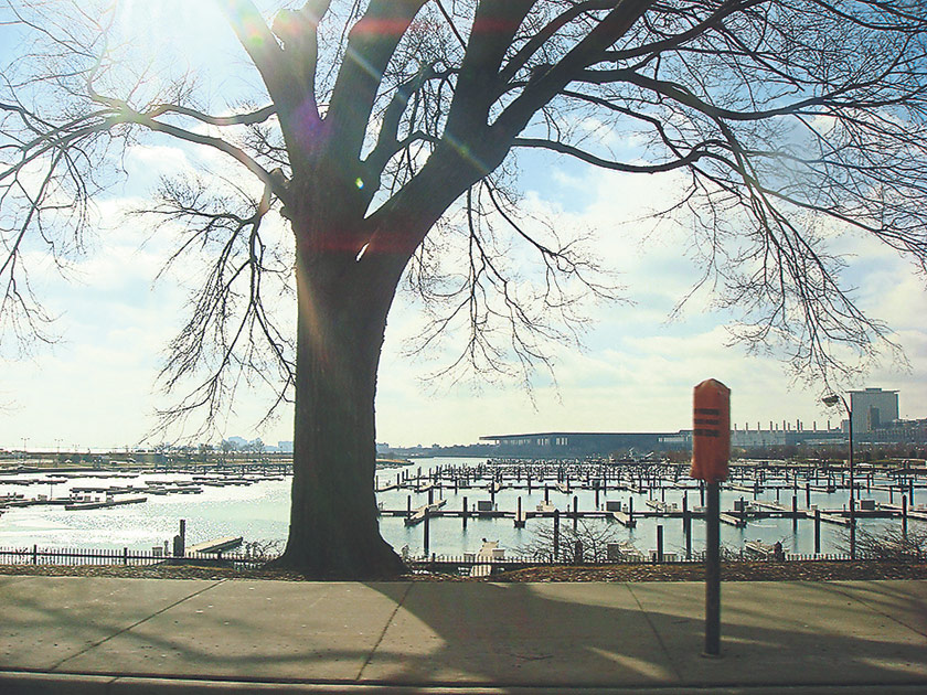 On weekends, Lakeshore Drive is a hive of people and activities