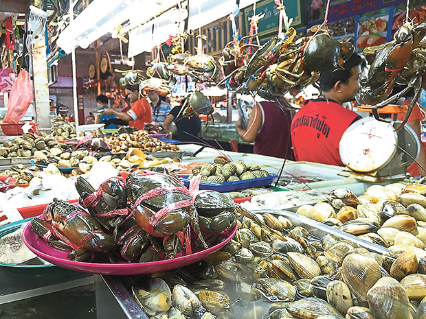 Fresh live seafood at the ground floor of the Banzaan Market.