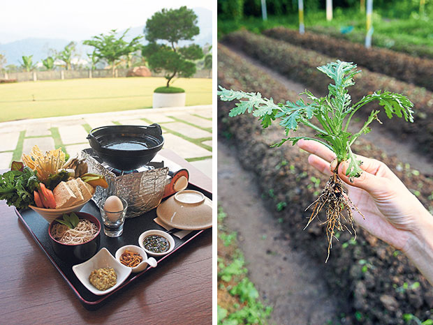 Their signature hot pot is a wholesome meat-free meal (left). The more roots a vegetable or plant has, the more nutrients it absorbs from the ground (right).