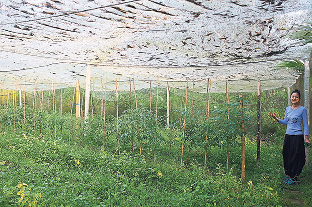 Jessie’s aim is to promote healthy, organic eating through Song Yan.