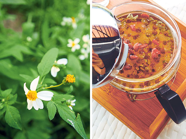Wild chrysanthemum flowers (left). The wild chrysanthemum is steeped with rock sugar and wolf berries to make a soothing and nourishing beverage (right).