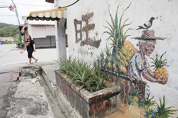 One of the attractions around the town include these art murals depicting pineapples that Titi is famous for.