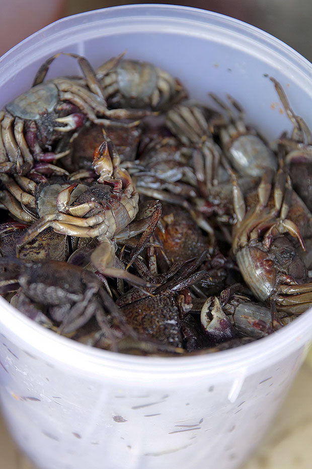 Pick up Thai ingredients like this tiny crabs used in Som Tam from this stall outside Restaurant Gasing in Petaling Jaya.