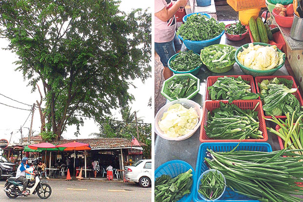Simply known as tai shi tow, people flock here from morning to night for well cooked Chinese food (left). Fresh vegetables laid out at the stall under the big tree (right).