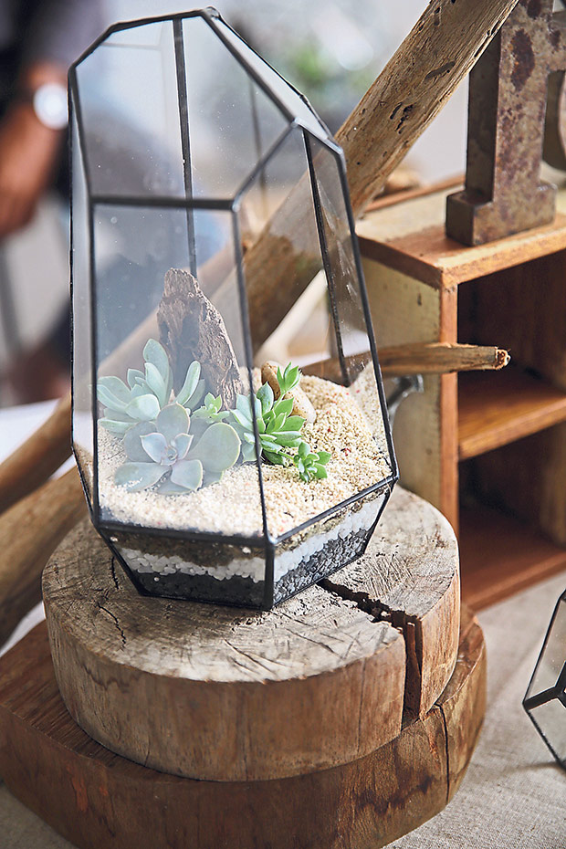 Ficus & Jars are all about geometric jars which are aesthetically pleasing to the eye.