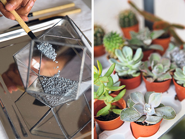 Planting a terrarium is easy as shown by Muhamad Faizal bin Mahmud (left). Succulents are beautiful plants which only require watering once a week (right).