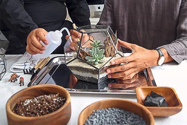 All Ficus & Jars terrariums are ready made so you can start gardening straightaway!