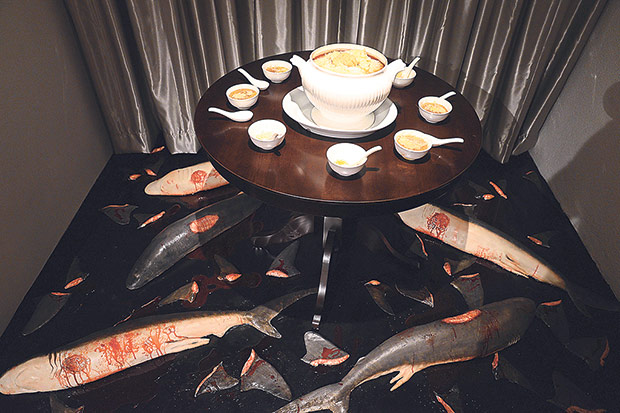 Imagine if food is weightless, we can live without any pressure to conform.