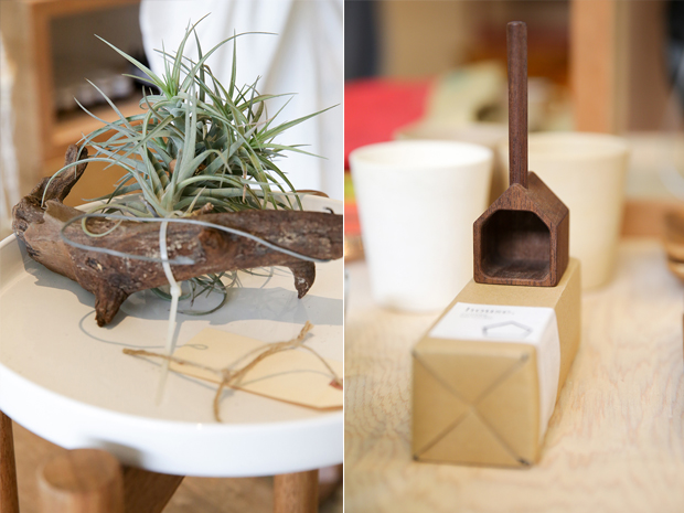 Decorate your home with these air plants (left). A coffee scoop for your home brewing needs (right)