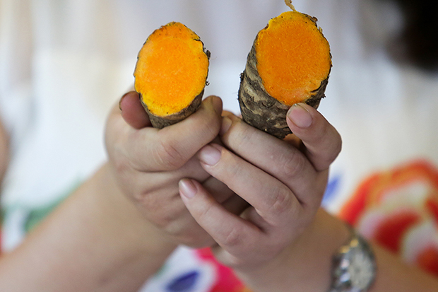 For a more powerful jamu remedy, only use the main turmeric root