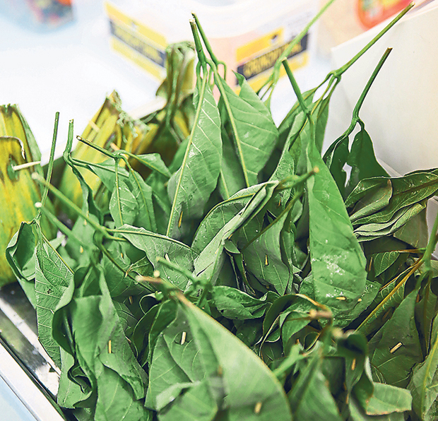 You can also grab some tapai wrapped with rubber leaves from the counter for dessert