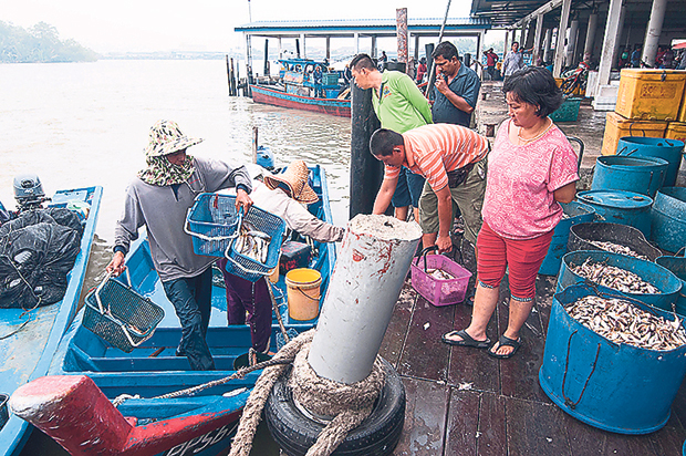 Every morning, the jetty is filled with activities as fishermen unload and fill barrels and boxes with an assortment of fishes