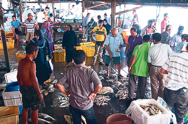 The fish market at the jetty as buyers choose and haggle over prices