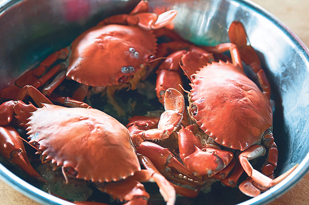 Best way to enjoy fresh crabs...steaming them