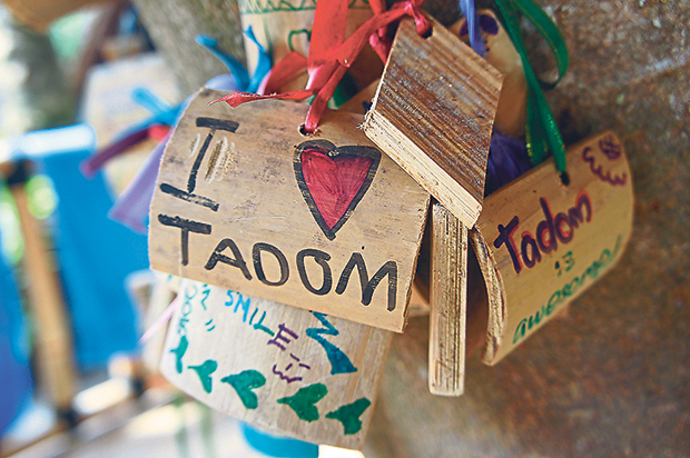 Handwritten bamboo plaques decorate the tree house