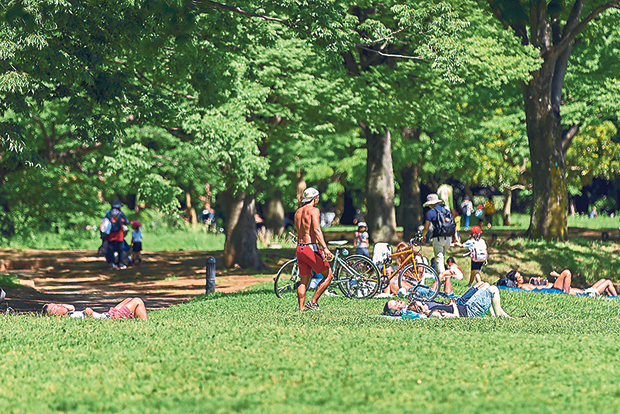 Sunbathers and cyclists