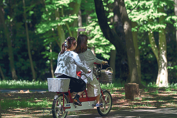 Some paths in the park are reserved solely for cyclists