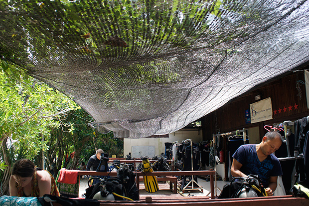 Divers getting ready to hit the water.