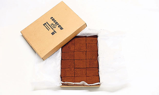 Simple and minimalist packaging for the Cocoraw chocolates.