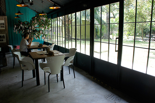 The all-glass back wall overlooks the orchard outside, bringing a bit of the greens inside.