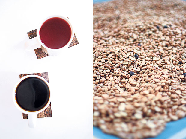 Brews by Mojo Coffee featuring beans from around the world (left). Only Direct Trade coffee beans are used at  the Factory Roastery (right).