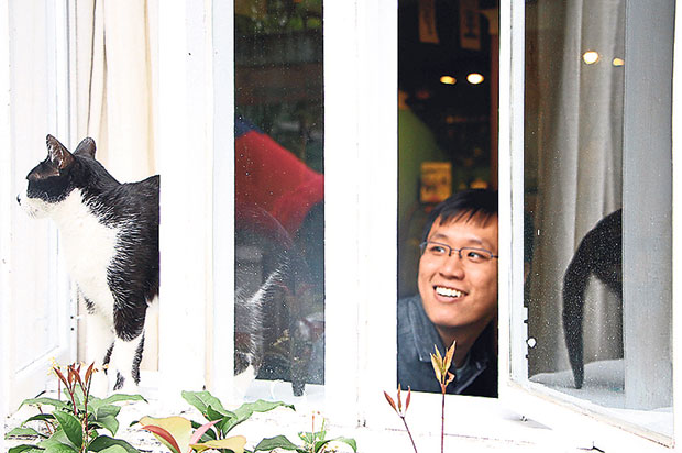 Cats have a good life basking in the sun at Who Together Face.