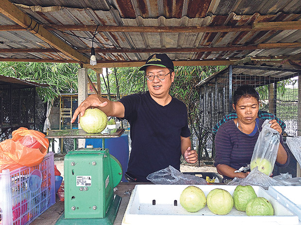 The Emperor Guava sells for RM7 per kilo.