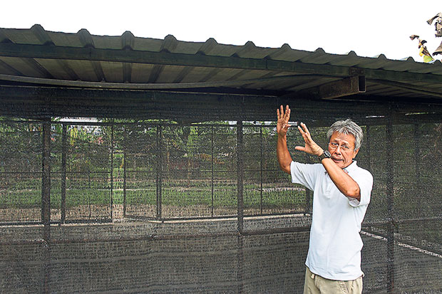 From the building height to the mesh covering, every aspect of the barn design has been carefully engineered for optimum results and practicalities.