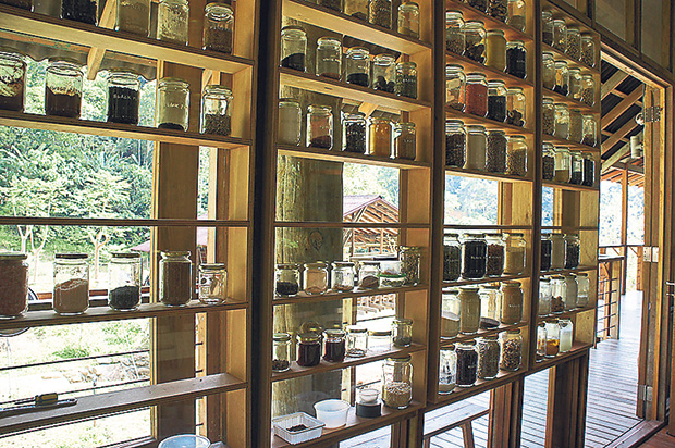 Spice racks in the kitchen that double up as a feature wall.