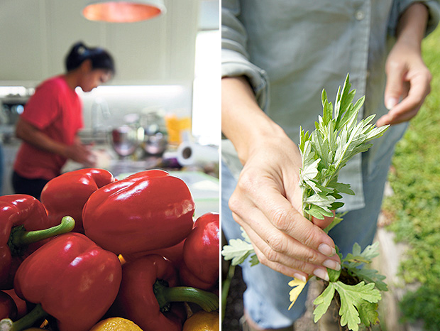 As much as possible, their gourmet lunches feature vegetables that grow on the farm (left). Mugwort is among the approximately 90 varieties of herbs and vegetables grown here (right).