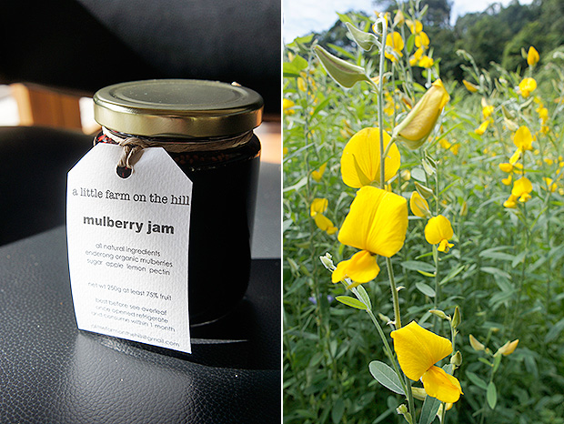 Try their farm-to-bottle mulberry jam (left). Sunn hemp is planted in between harvests to replenish nitrogen in the soil (right).