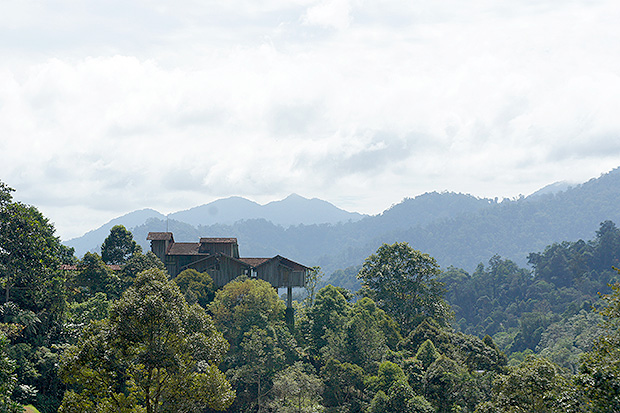 Inspiring landscapes surround the farm, located in Pahang's Janda Baik.