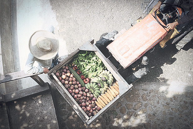 Get the inspiration to grow your own grub from the monthly workshops held on the farm.