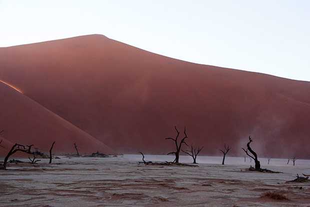 Dunes providing a dramatic backdrop for the Deadvlei.