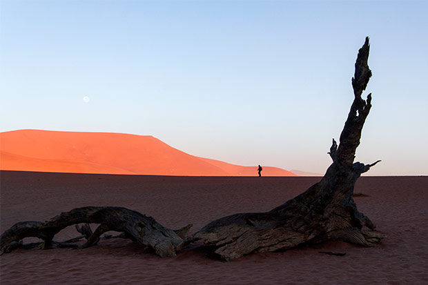 A lonely trekker in Sossusvlei.