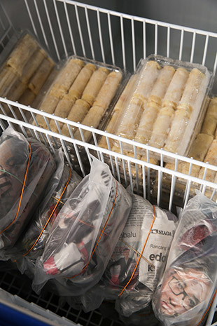 In the freezer, discover Terengganu fare like ropa and keropok lekor.