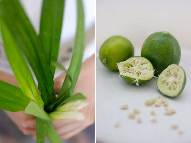 A handful of pandan leaves, with their palm-and-pine-like fragrance (left). Nothing like freshly squeezed lime juice for some added zest (right).