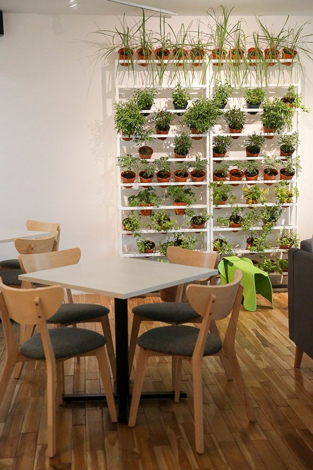 The vertical herb garden is not only decorative but the fresh herbs are used in the kitchen.