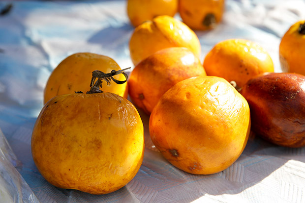 Terung Iban that is also known as Terung Dayak is a local aubergine that has a distinct sourish taste.