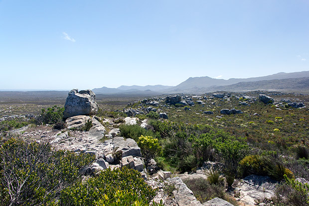 The vast expanse of the Cape of Good Hope Nature Reserve.