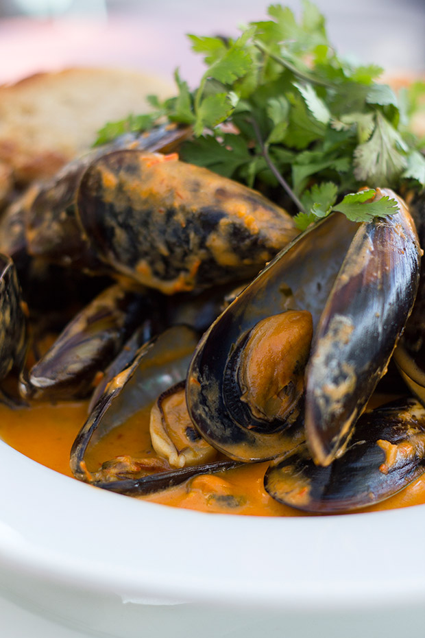 Fresh west coast mussels with spiced coconut harissa and garlic crostini.