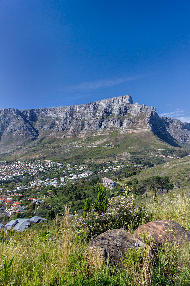 Table Mountain is Cape Town’s most famous natural landmark.
