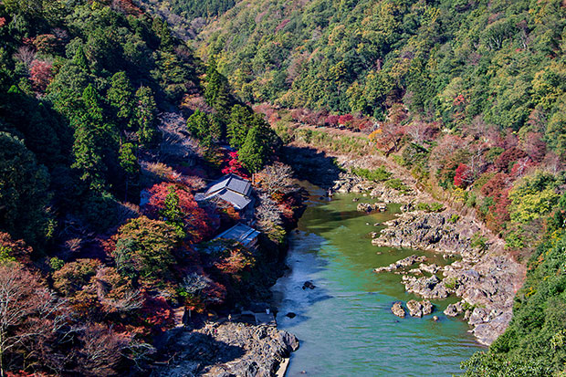 Vibrant autumnal colours bursting from both banks of the Hozu River.