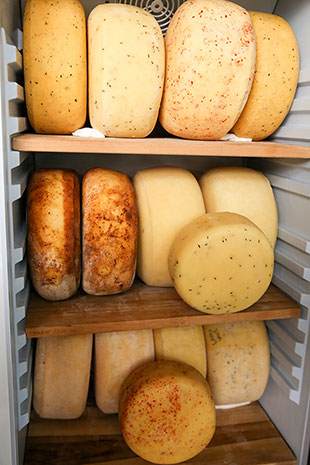 All kinds of cheese wheels are kept chillied in the stand-up refrigerators.