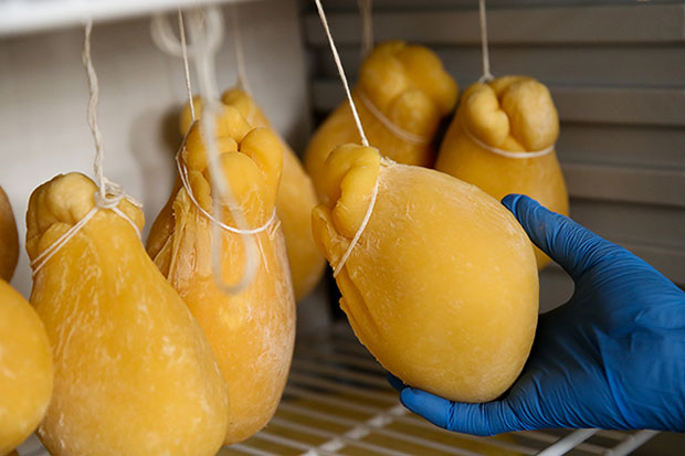 Annisa’s three year old son can eat this Caciocavallo inspired cheese just like an apple.