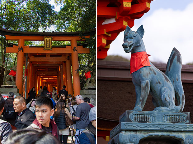 Brave the throngs of visitors as you enter the tunnel of torii gates (left). A kitsune (fox spirit) statue at the entrance of the shrine (right).