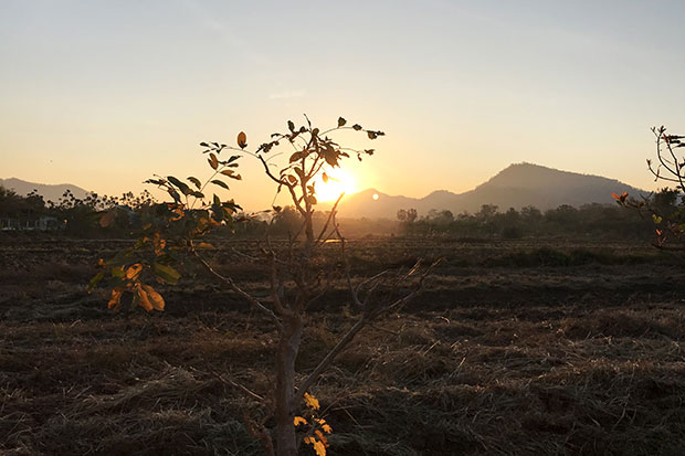 Sunrise in Saraburi.