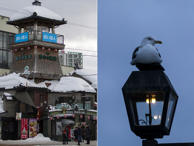 Otaru Denuki Koji with its watchtower (left). A seagull perched on a street lamp (right)