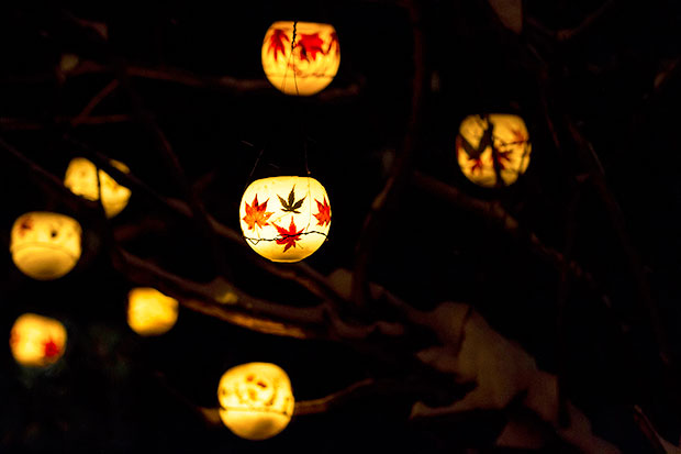 Pressed autumn leaves, like jewels in the night